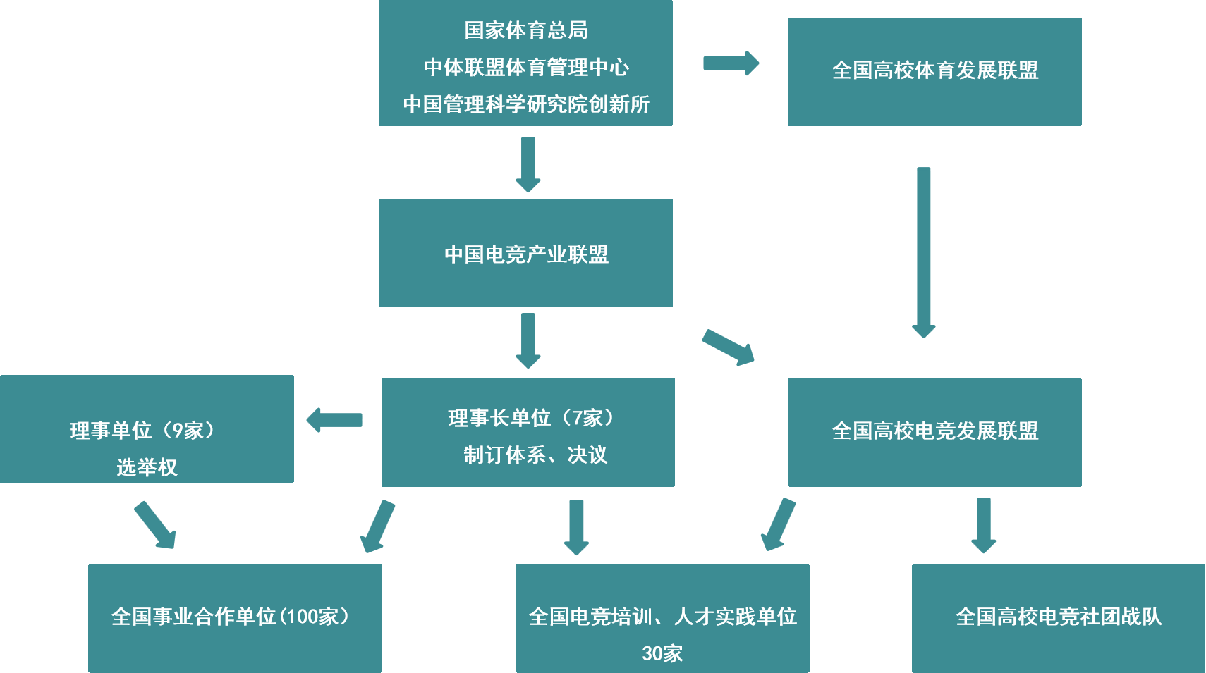 九游官网:电竞与教育体系的有效衔接：人才培养，专业发展的简单介绍