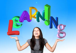乐鱼体育app官方登录入口-高校体育教师数字教学能力培养策略，高校体育教师基本功大赛